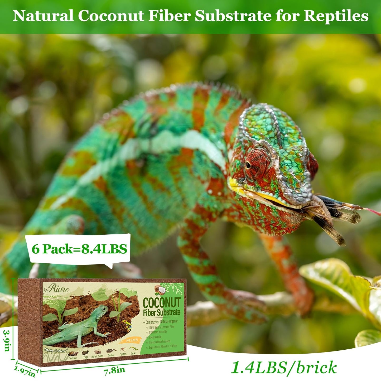 Riare 2 Pack Natural Coconut Fiber Substrate for Reptile- Premium Compressed Coconut Husk Terrarium Bedding for Reptile, Tortoise, Frogs, Snakes Hermit Crabs, Burrowing Animals