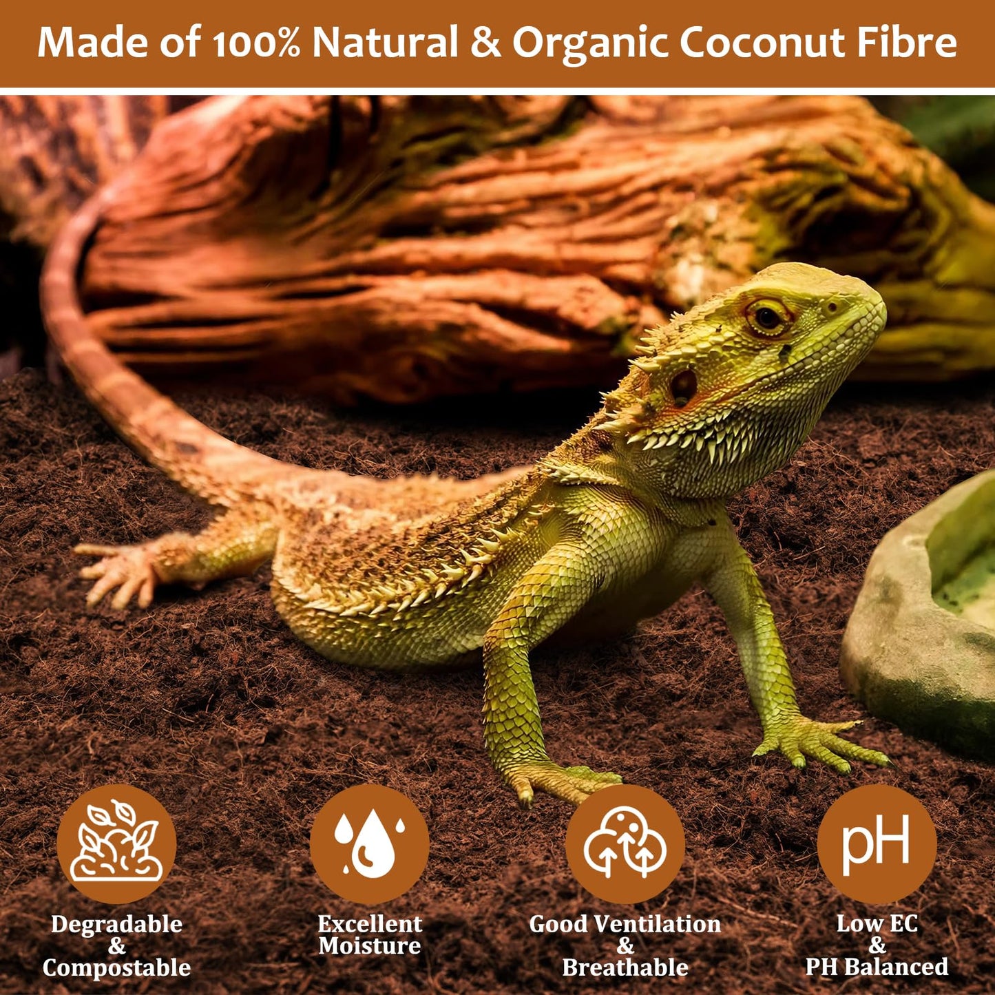 Riare 2 Pack Natural Coconut Fiber Substrate for Reptile- Premium Compressed Coconut Husk Terrarium Bedding for Reptile, Tortoise, Frogs, Snakes Hermit Crabs, Burrowing Animals