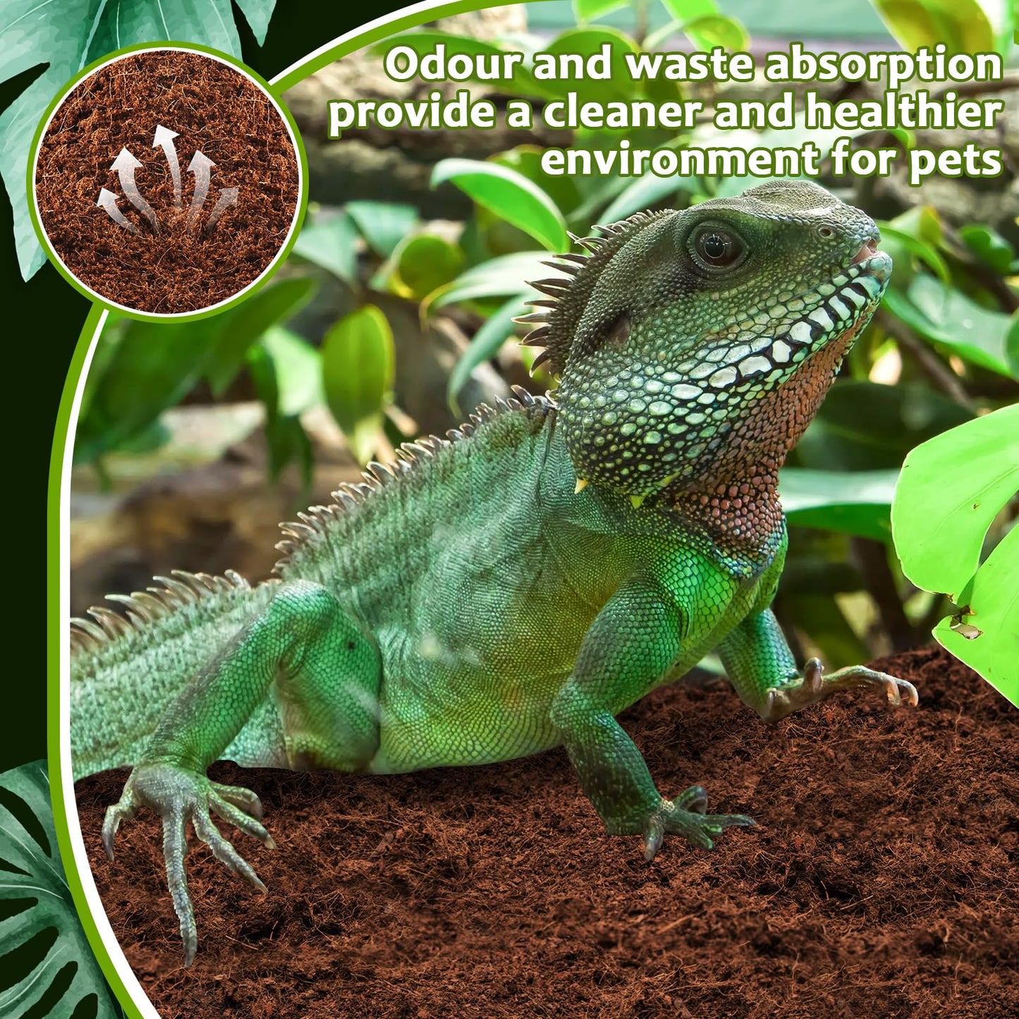 Riare 2 Pack Natural Coconut Fiber Substrate for Reptile- Premium Compressed Coconut Husk Terrarium Bedding for Reptile, Tortoise, Frogs, Snakes Hermit Crabs, Burrowing Animals