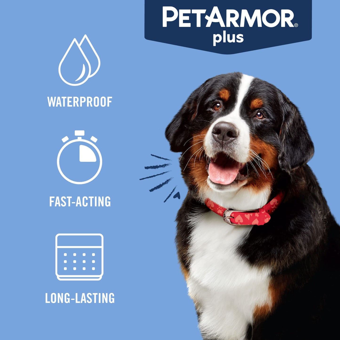 PetArmor Plus Flea and Tick Prevention for Dogs, Large Dog Flea and Tick Treatment, 6 Doses, Waterproof Topical, Fast Acting (45-88 lbs)