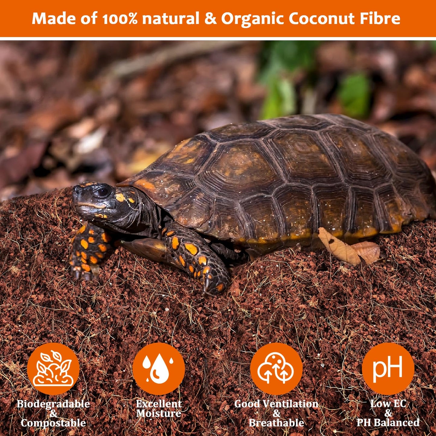 Riare 2 Pack Natural Coconut Fiber Substrate for Reptile- Premium Compressed Coconut Husk Terrarium Bedding for Reptile, Tortoise, Frogs, Snakes Hermit Crabs, Burrowing Animals