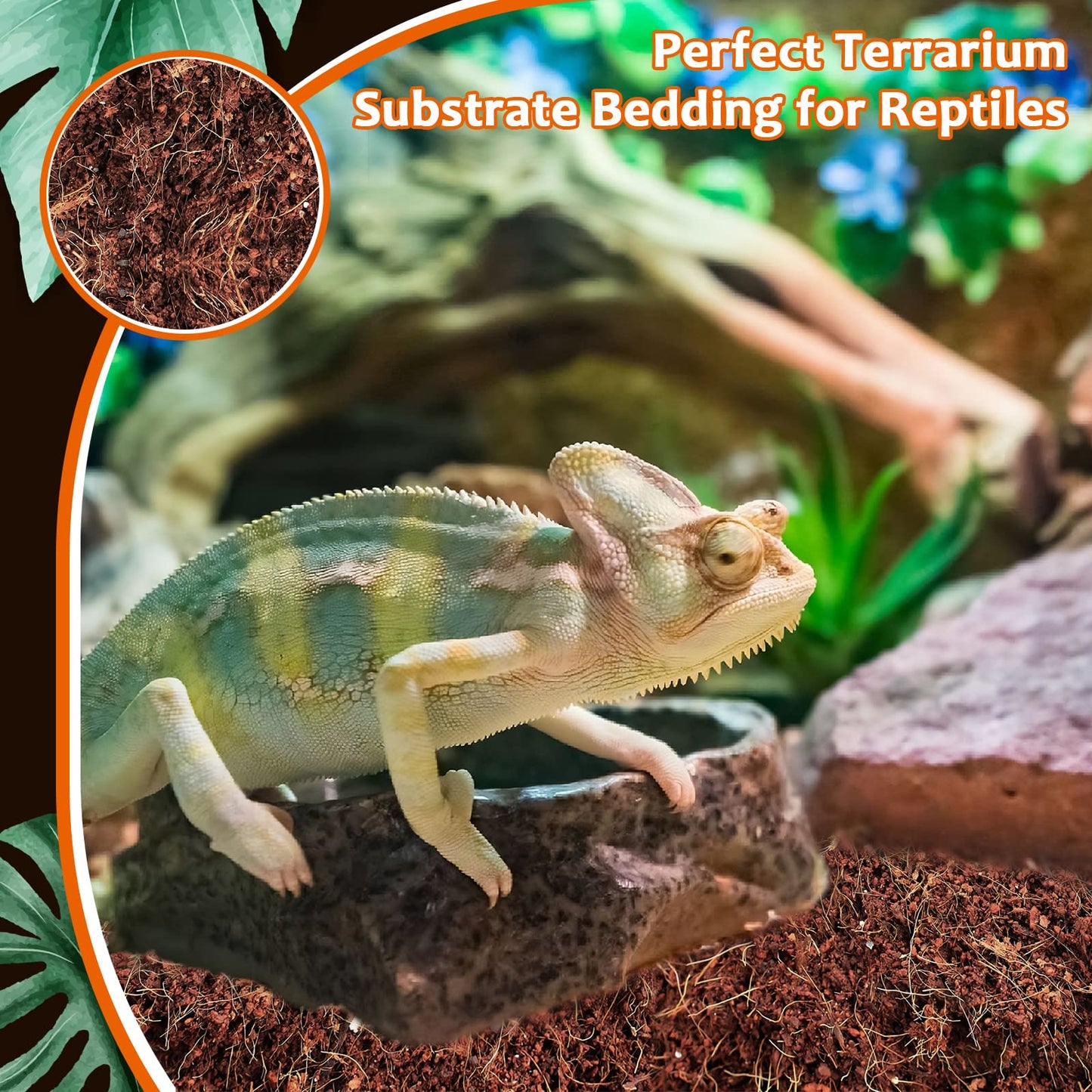 Riare 2 Pack Natural Coconut Fiber Substrate for Reptile- Premium Compressed Coconut Husk Terrarium Bedding for Reptile, Tortoise, Frogs, Snakes Hermit Crabs, Burrowing Animals