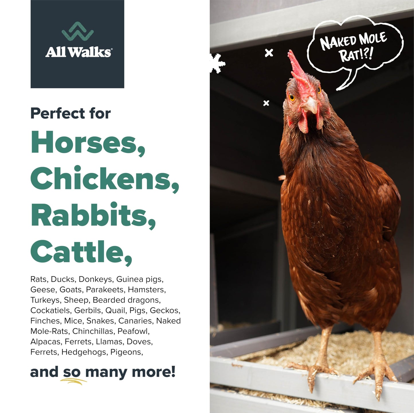 All Walks 18.5 Liter Premium Natural Hemp Bedding, Odor Control, Low Dust, Highly Absorbent, for Rabbits, Hamsters, & Small Animals, Biodegradable, Made in USA