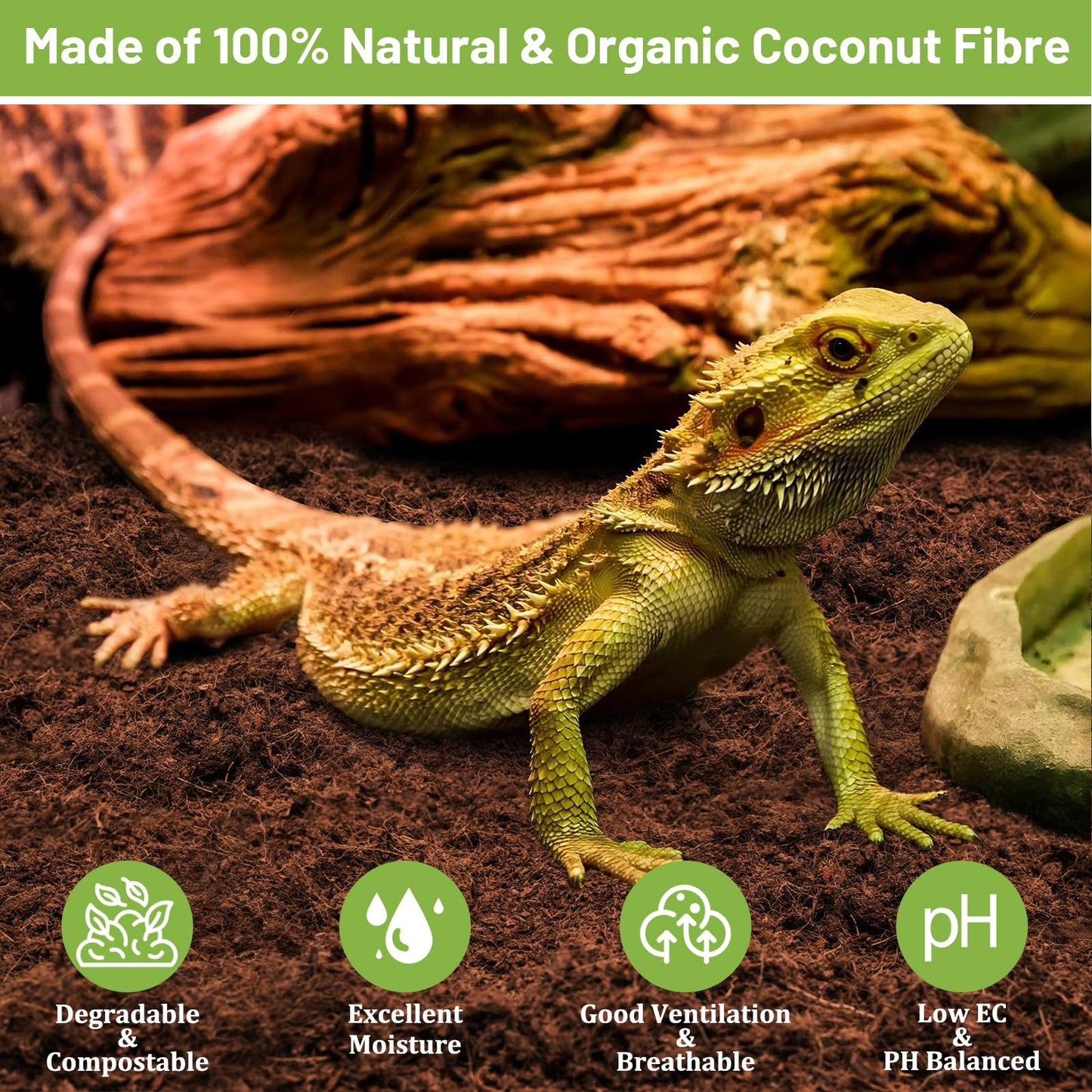 Riare 2 Pack Natural Coconut Fiber Substrate for Reptile- Premium Compressed Coconut Husk Terrarium Bedding for Reptile, Tortoise, Frogs, Snakes Hermit Crabs, Burrowing Animals