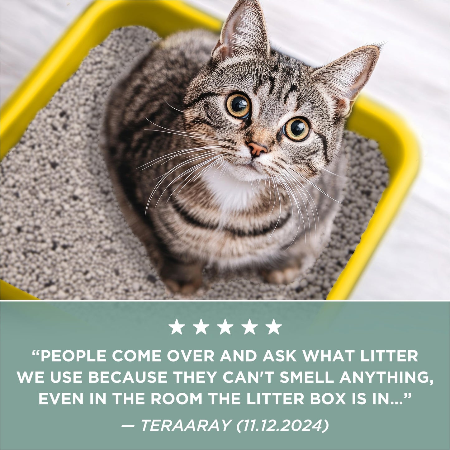 Purina Tidy Cats Free and Clean Unscented Cat Litter - 38 lb. Box