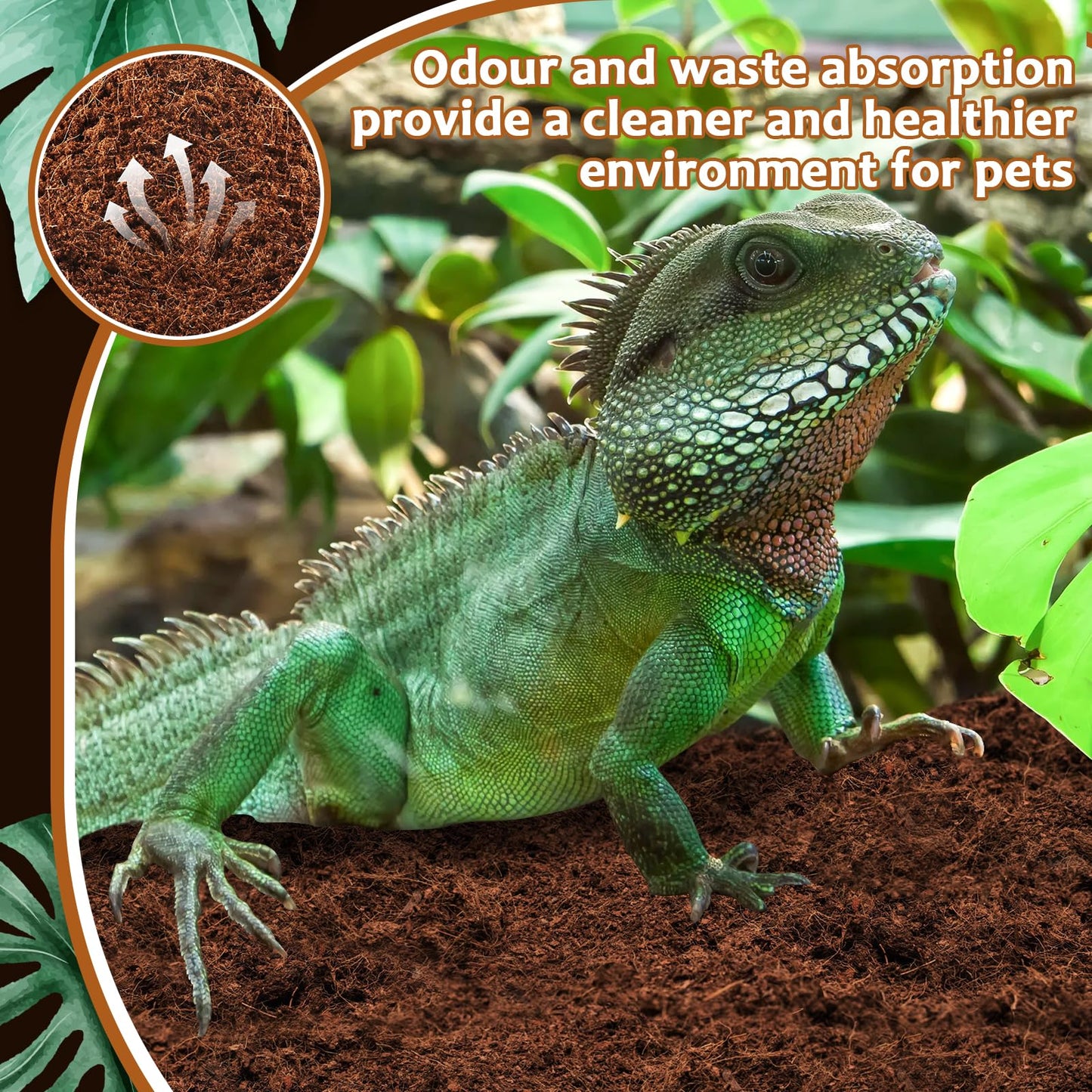 Riare 2 Pack Natural Coconut Fiber Substrate for Reptile- Premium Compressed Coconut Husk Terrarium Bedding for Reptile, Tortoise, Frogs, Snakes Hermit Crabs, Burrowing Animals