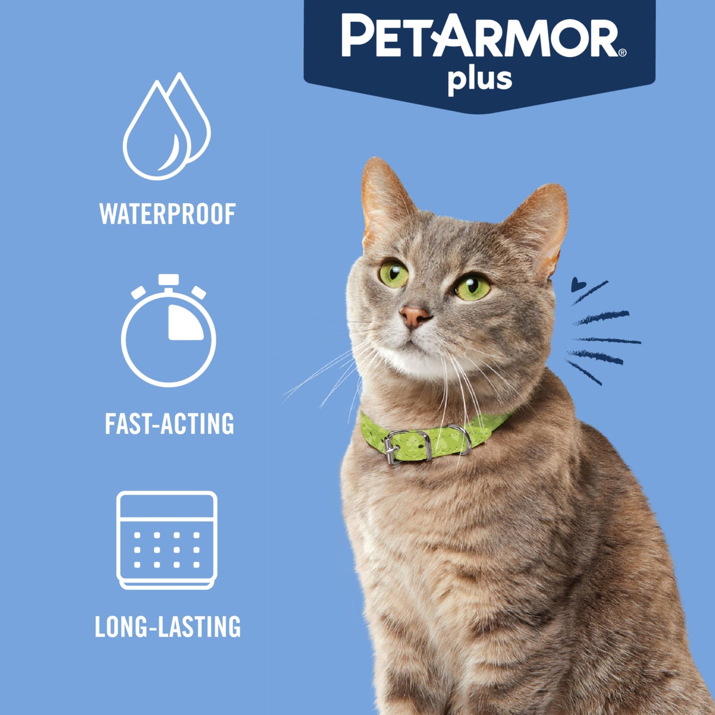 PetArmor Plus Flea and Tick Prevention for Dogs, Large Dog Flea and Tick Treatment, 6 Doses, Waterproof Topical, Fast Acting (45-88 lbs)