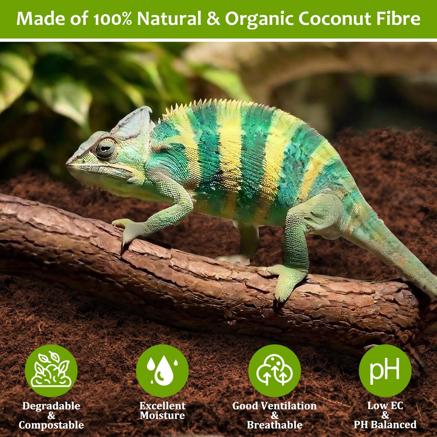 Riare 2 Pack Natural Coconut Fiber Substrate for Reptile- Premium Compressed Coconut Husk Terrarium Bedding for Reptile, Tortoise, Frogs, Snakes Hermit Crabs, Burrowing Animals