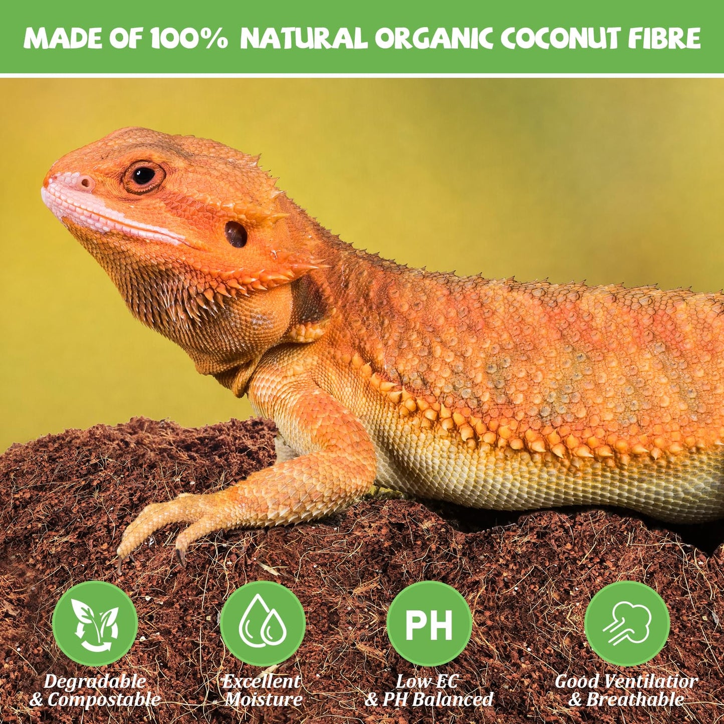 Riare 2 Pack Natural Coconut Fiber Substrate for Reptile- Premium Compressed Coconut Husk Terrarium Bedding for Reptile, Tortoise, Frogs, Snakes Hermit Crabs, Burrowing Animals