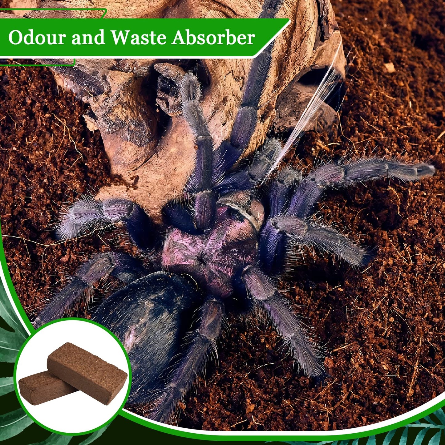 Riare 2 Pack Natural Coconut Fiber Substrate for Reptile- Premium Compressed Coconut Husk Terrarium Bedding for Reptile, Tortoise, Frogs, Snakes Hermit Crabs, Burrowing Animals