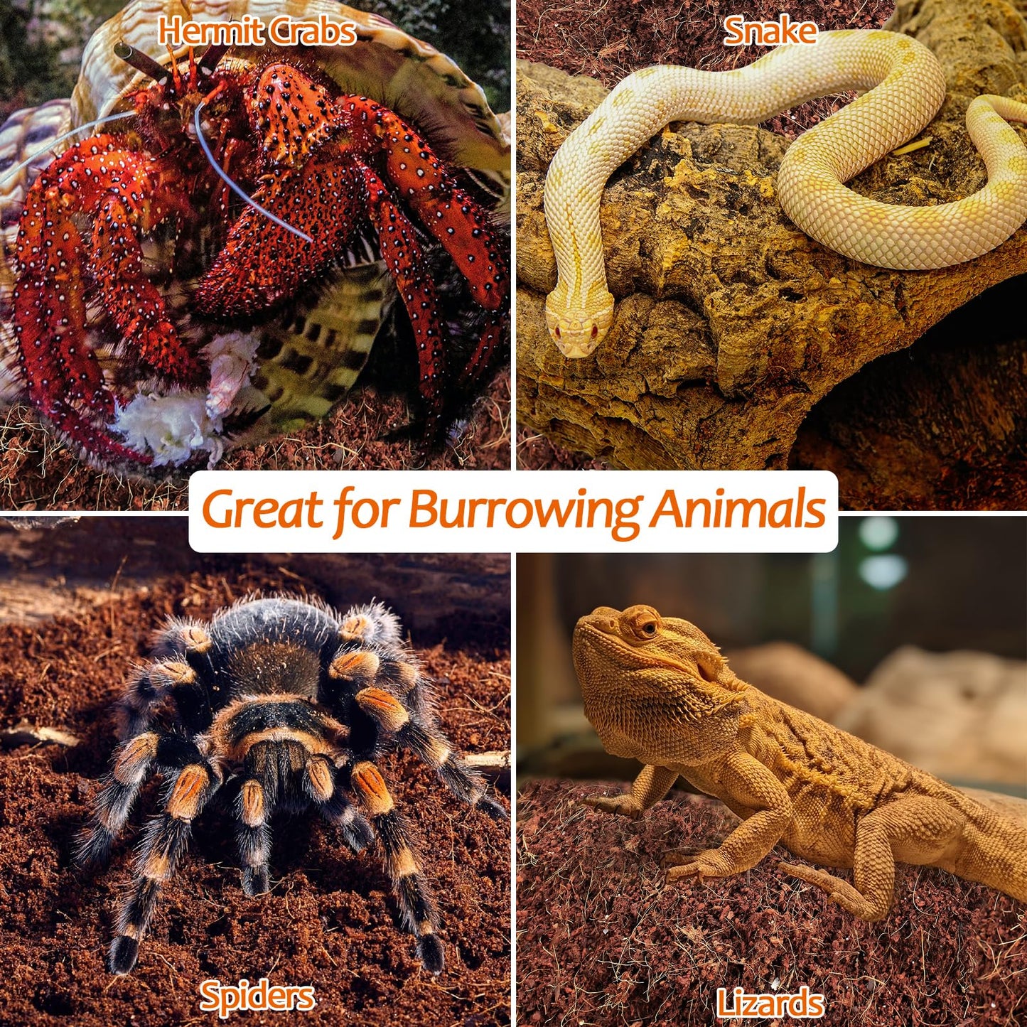 Riare 2 Pack Natural Coconut Fiber Substrate for Reptile- Premium Compressed Coconut Husk Terrarium Bedding for Reptile, Tortoise, Frogs, Snakes Hermit Crabs, Burrowing Animals