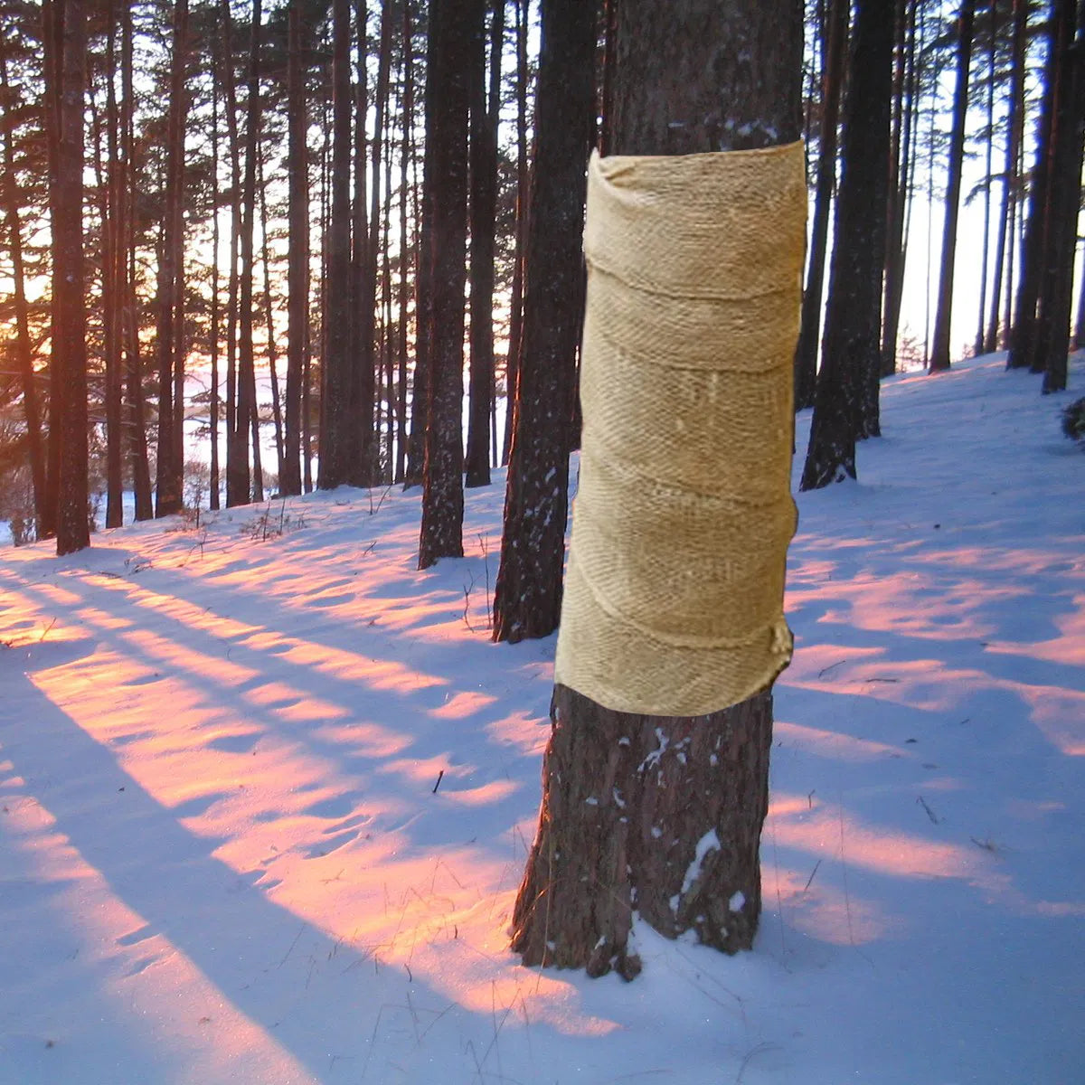 Burlap Tree Wraps,4 Rolls