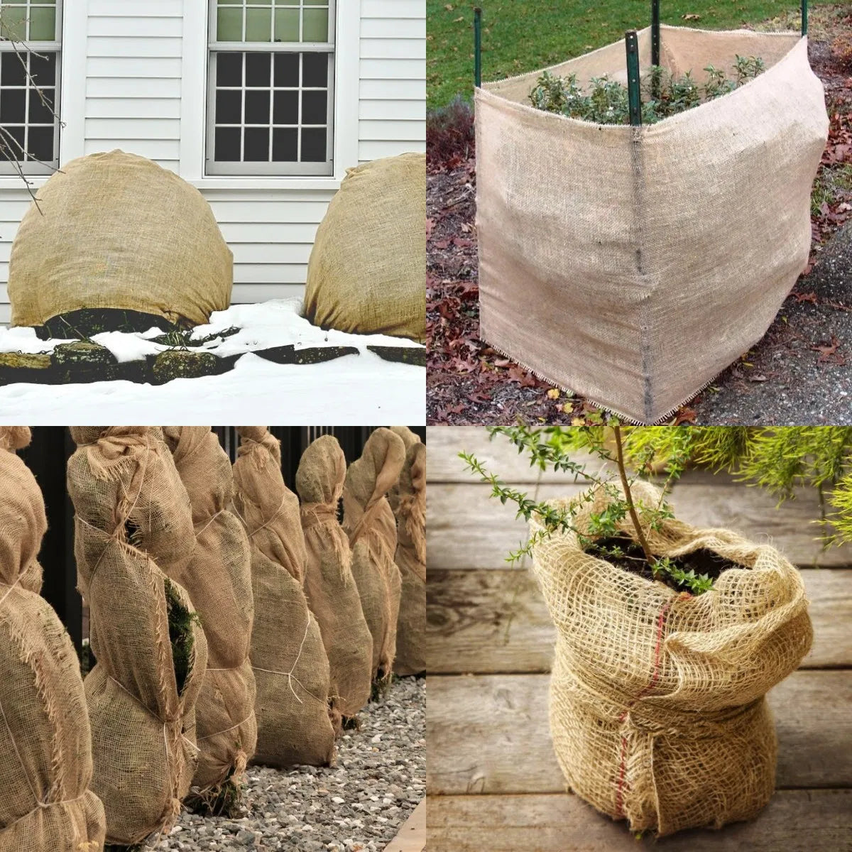 Burlap Tree Wraps,4 Rolls
