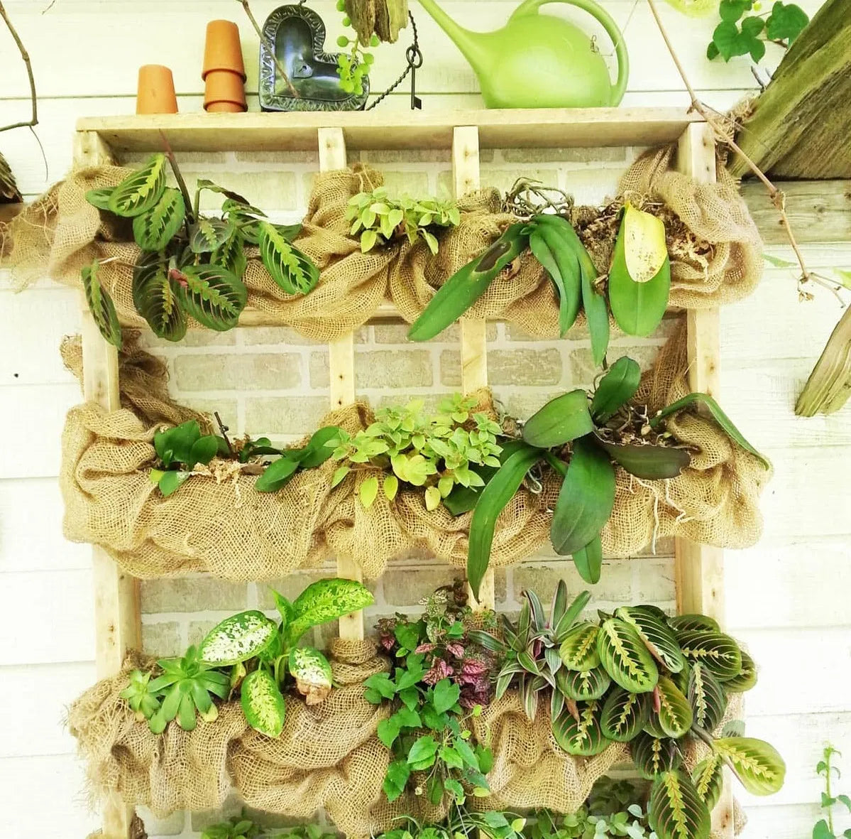 Burlap Tree Wraps,4 Rolls
