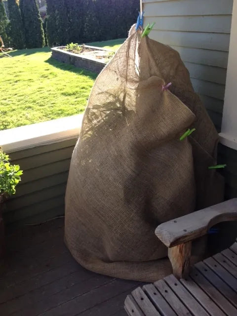 Burlap Tree Wraps,4 Rolls