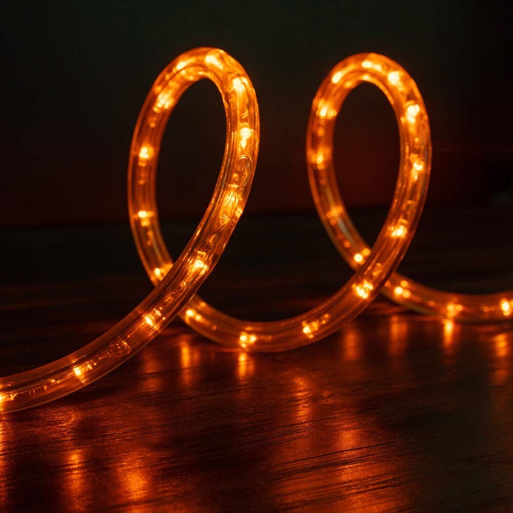 10' 20' 25' 50' 100' 150ft Outdoor LED Rope Light Water-Resistant Extend to 300'