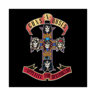 Guns N Roses - Appetite For Destruction Vinyl Record